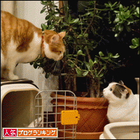 人気ブログランキングへ